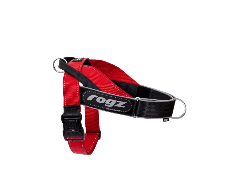 Rogz LetzGo Personalised Dog Harness - Large