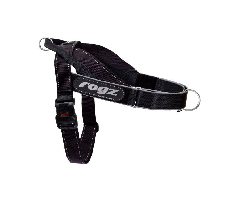 Rogz LetzGo Personalised Dog Harness - X/Large