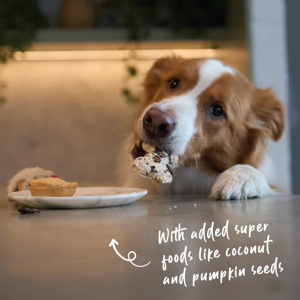 Kazoo Barney's Barkery Meaty Marvel - Liver Nutri-Bone