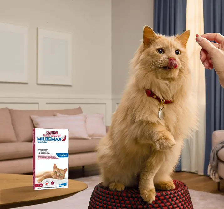 Milbemax Cat 2-8kg