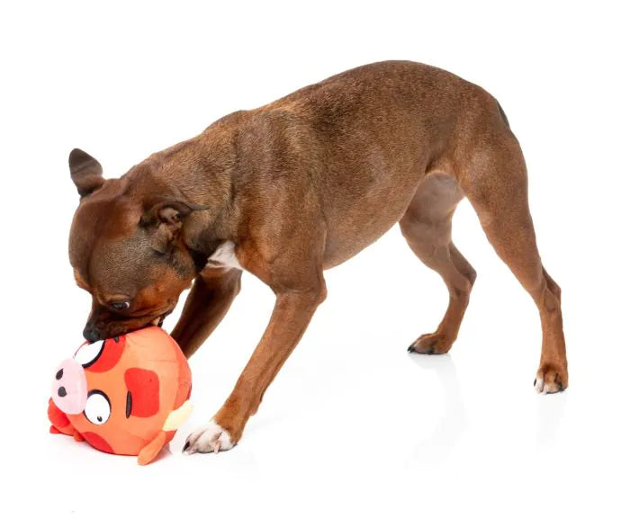FuzzYard Dog Toy - Moo-hammad Ali
