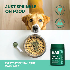 NAS Dental Powder 80g