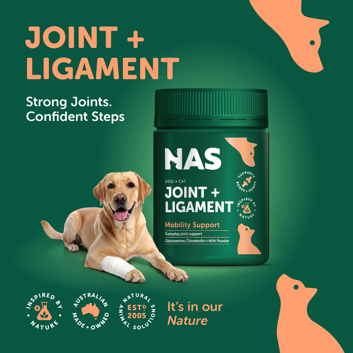 NAS Joint & Ligament Powder 120g
