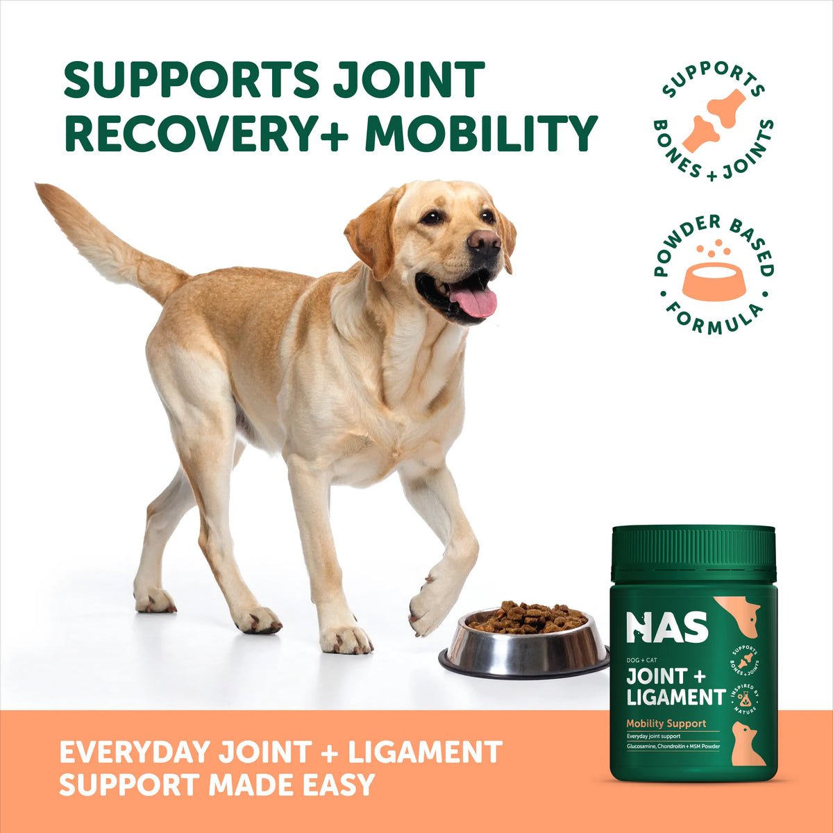 NAS Joint & Ligament Powder 120g