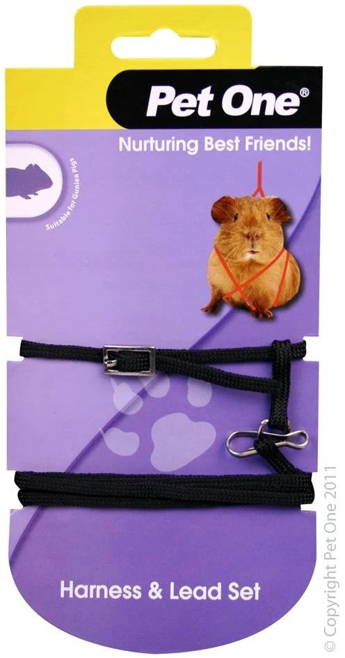 Pet One Guinea Pig Leash & Harness Set