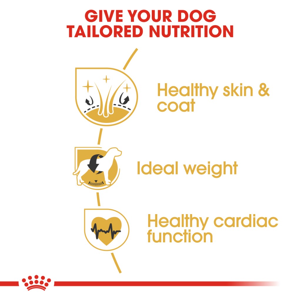 Royal Canin Canine Cocker Spaniel Adult