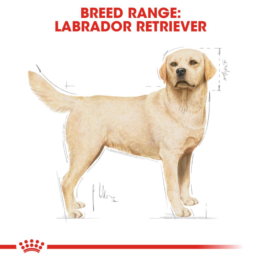 lebra dog diet