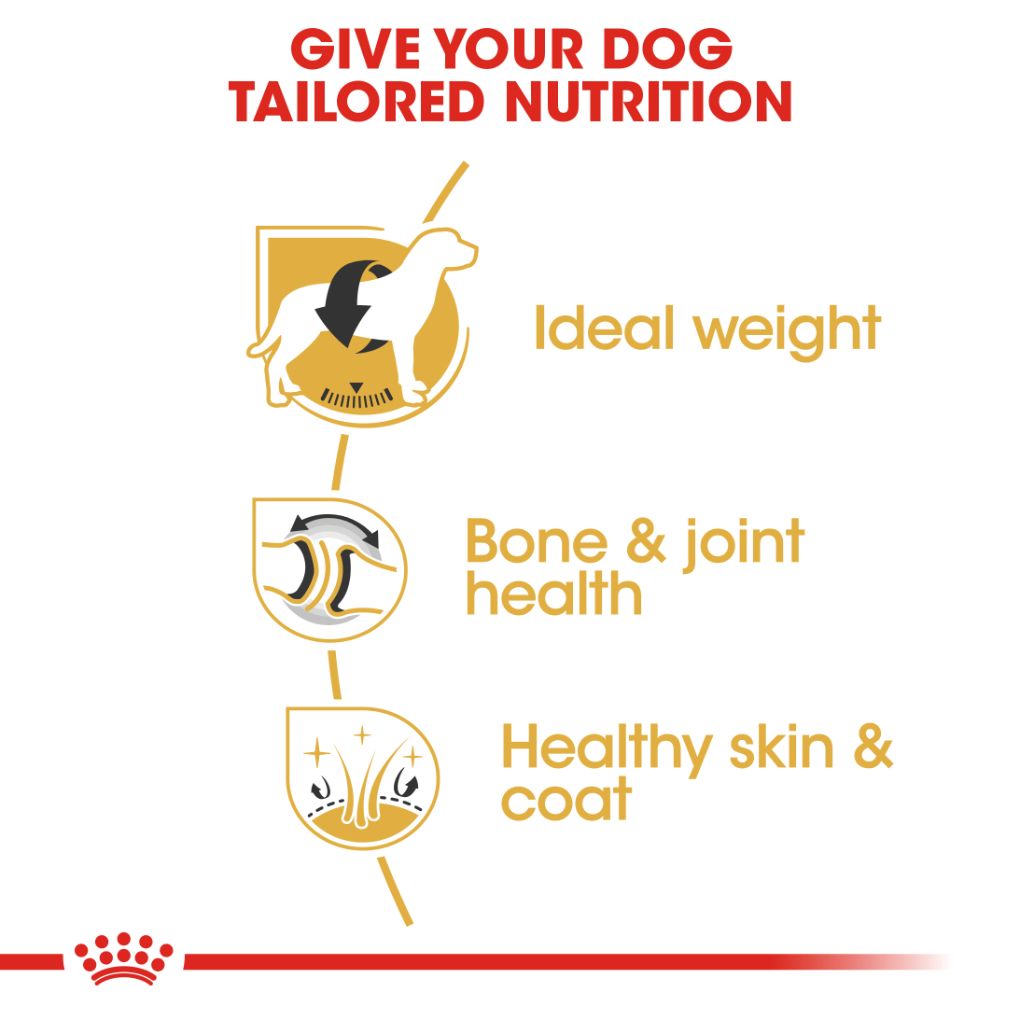 Royal Canin Labrador Adult - RSPCA VIC