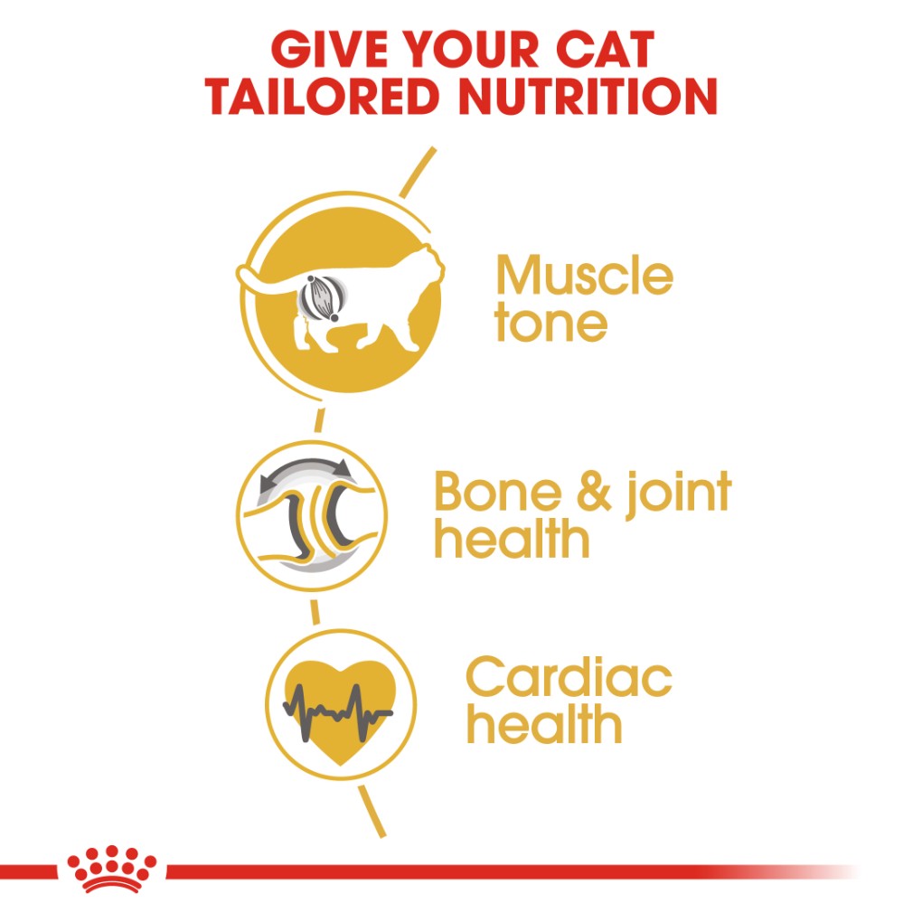 Royal Canin Feline British Shorthair Adult