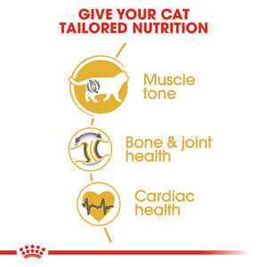 Royal Canin Feline British Shorthair Adult