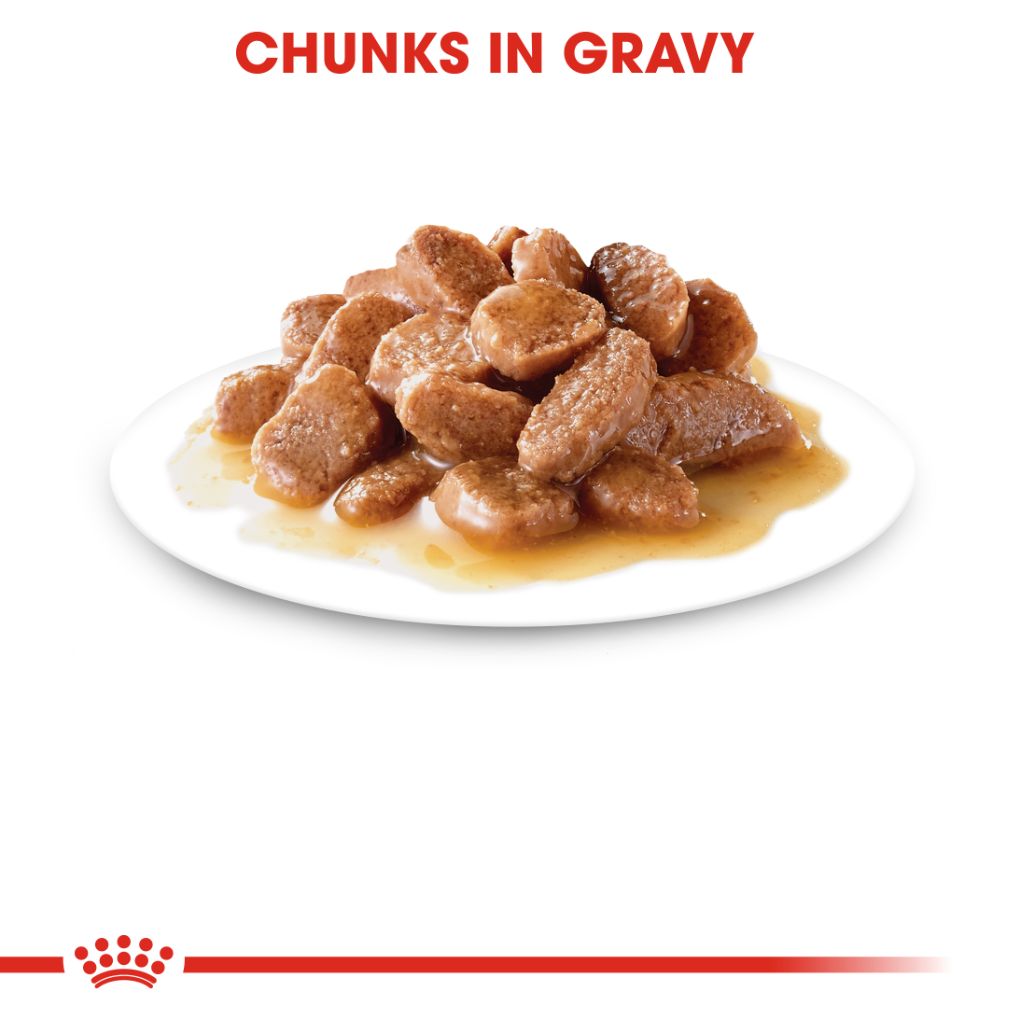 Royal Canin Feline Instinctive Gravy Pouches Box