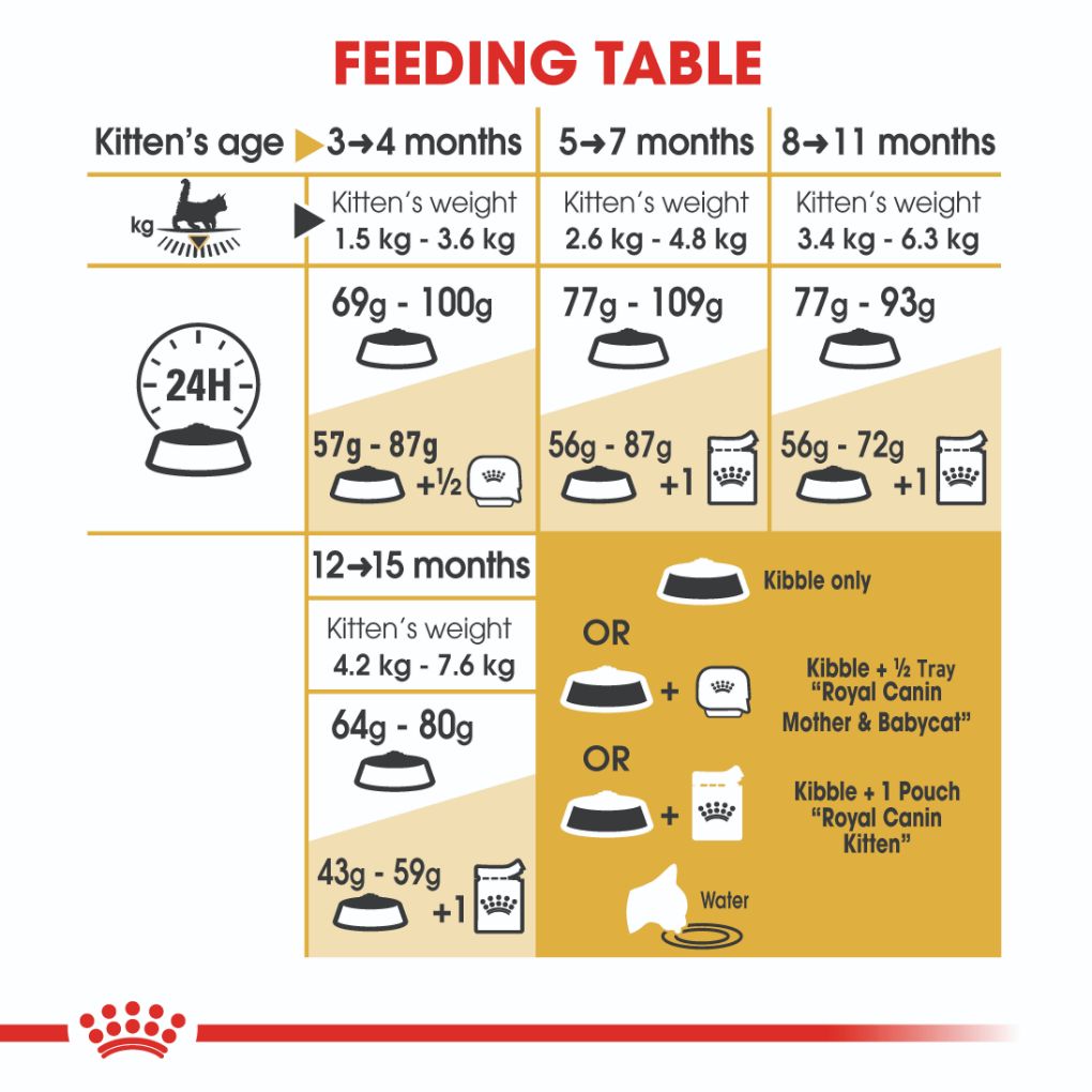 Royal Canin Feline Maine Coon Kitten