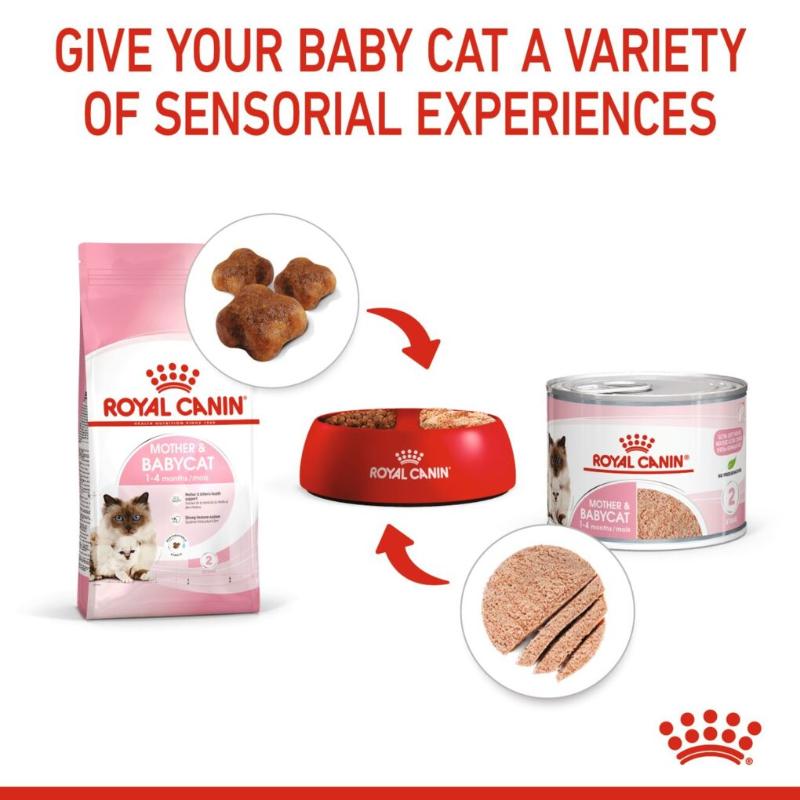 Royal Canin Mother & Babycat Mousse 195g - RSPCA VIC