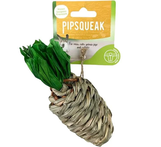 Pipsqueak Small Animal Chew Seagrass Radish