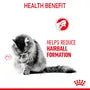 Royal Canin Feline Hairball Care Jelly Pouches Box
