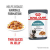 Royal Canin Feline Hairball Care Jelly Pouches Box