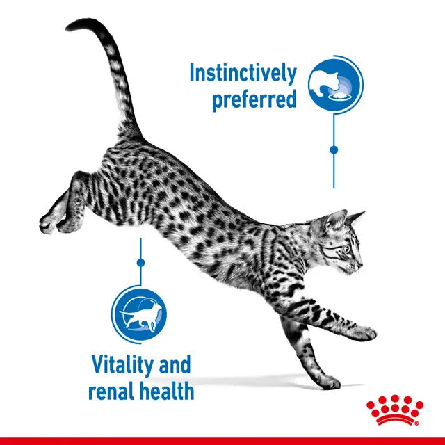 Royal Canin Feline Indoor 7+ Gravy Pouches Box