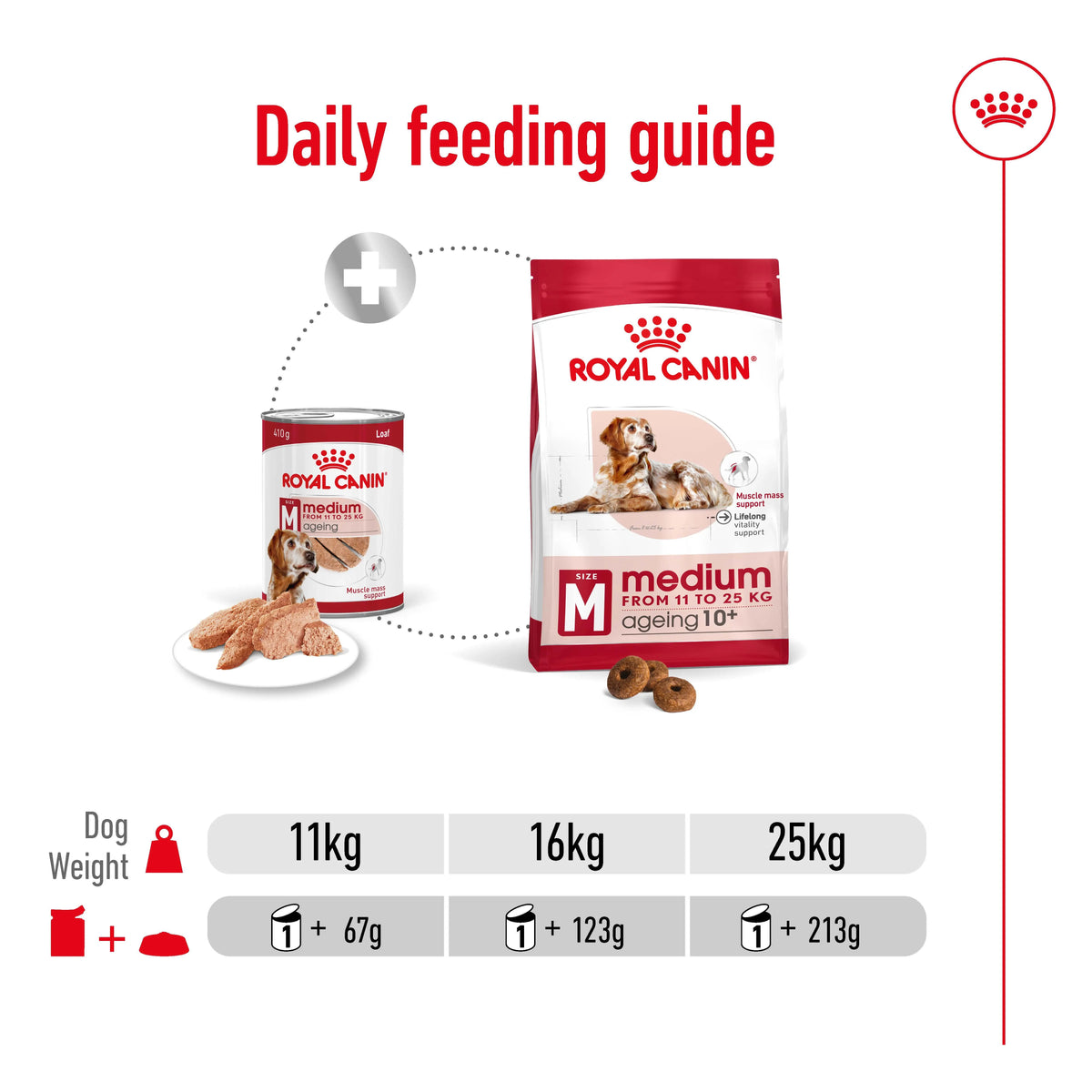 Royal Canin Canine Medium Ageing 7+