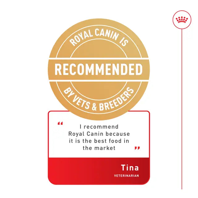 Royal Canin Feline Exigent Aromatic Adult