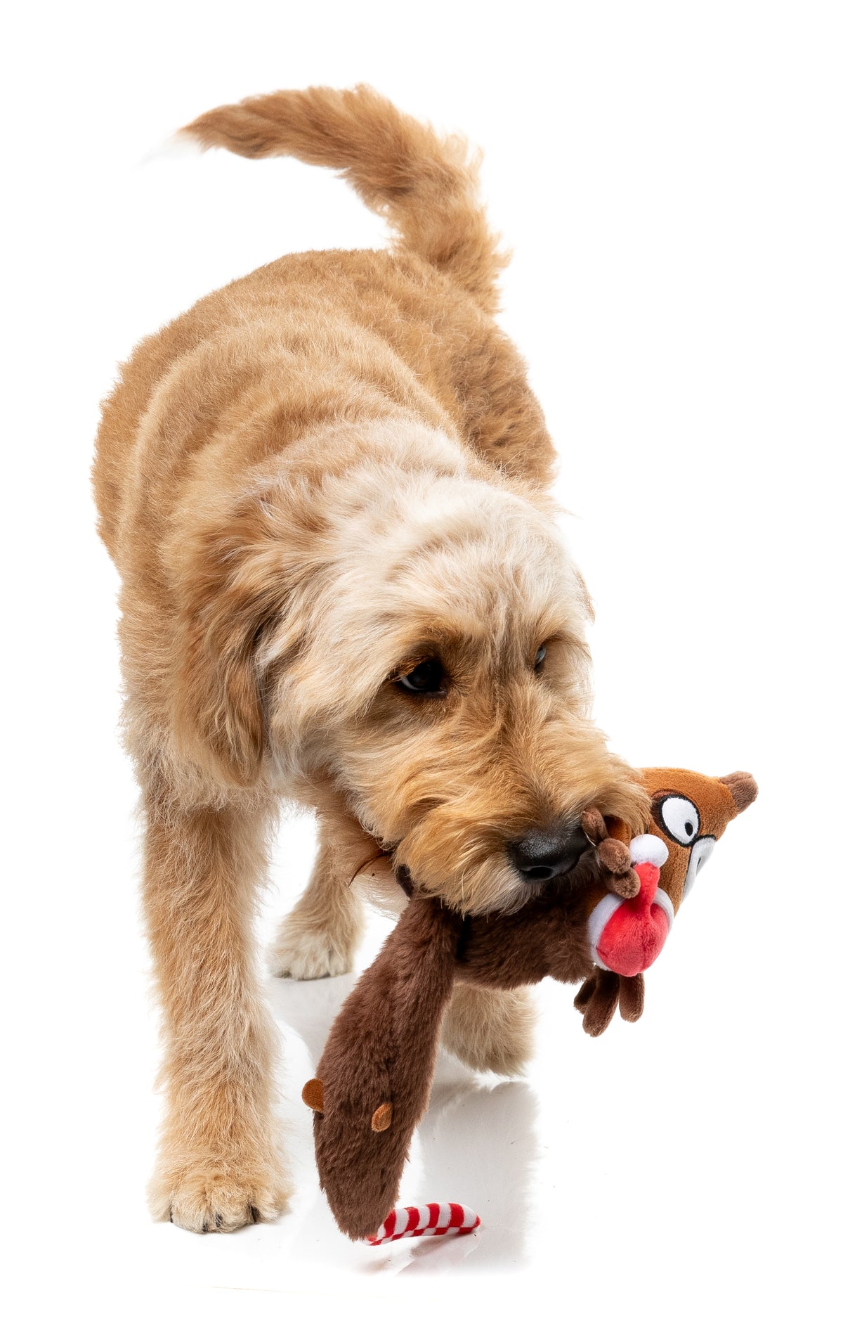 FuzzYard Dog Toy - Runaway Reindeer
