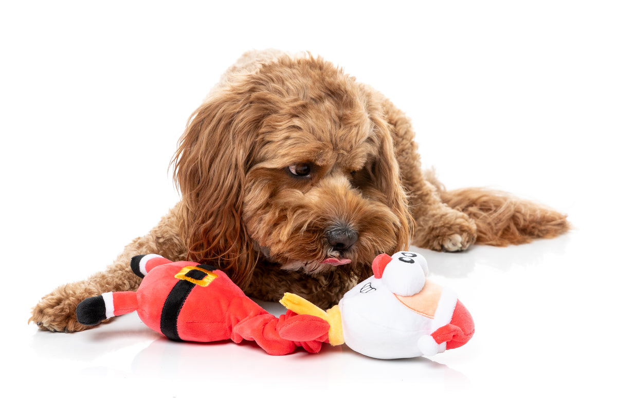 FuzzYard Dog Toy - Saint Neckolas