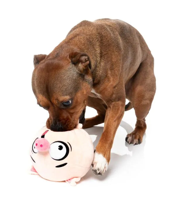 FuzzYard Dog Toy - Snoop Hogg