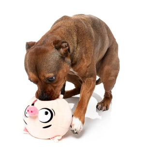 FuzzYard Dog Toy - Snoop Hogg