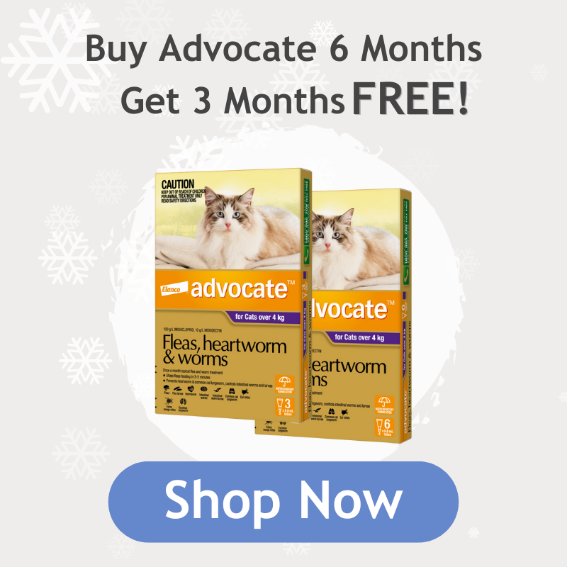 Advocate Flea, Tick and Wormer in the 3 month and 6 month pack to highlight promotion