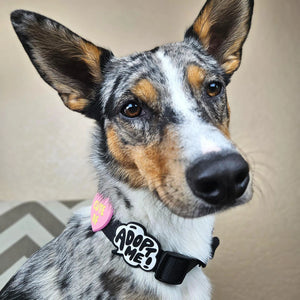 Adopt Me! Jiby Dog Charm