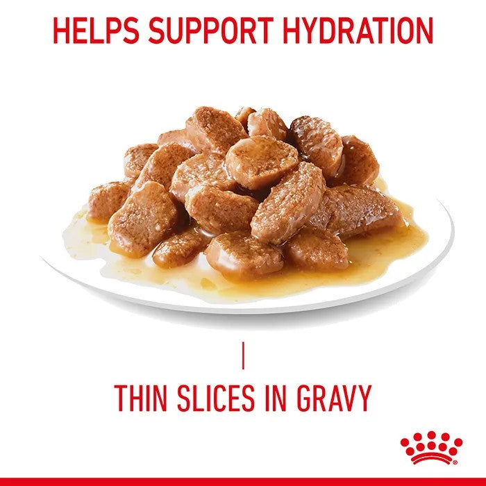 Royal Canin Feline Appetite Control Gravy Box