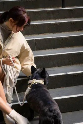 FuzzYard Life Atelier Dog Rope Lead - Sandstone