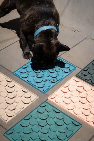 FuzzYard Life Silicone Hide & Treat Mat