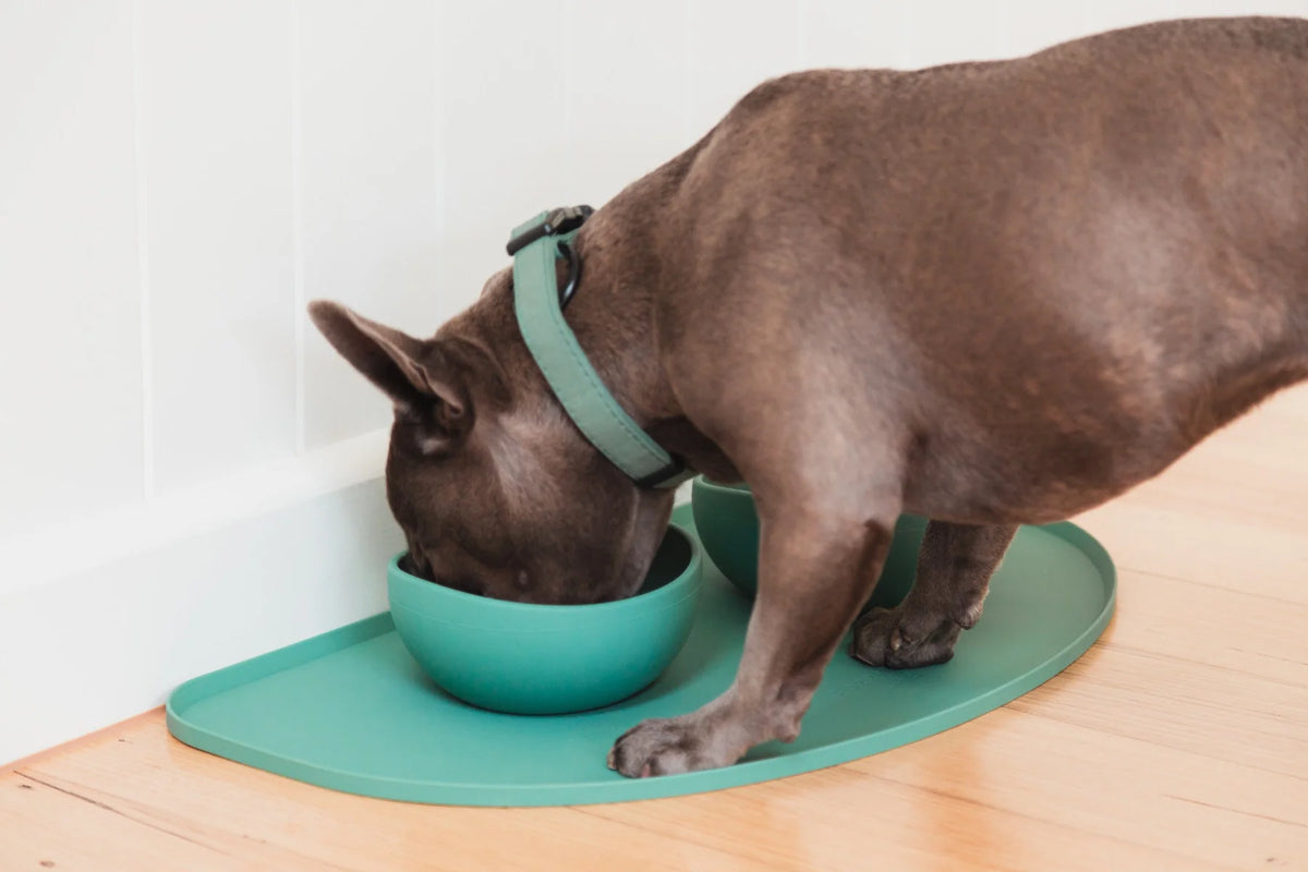 FuzzYard Life Silicone Feeding Mat