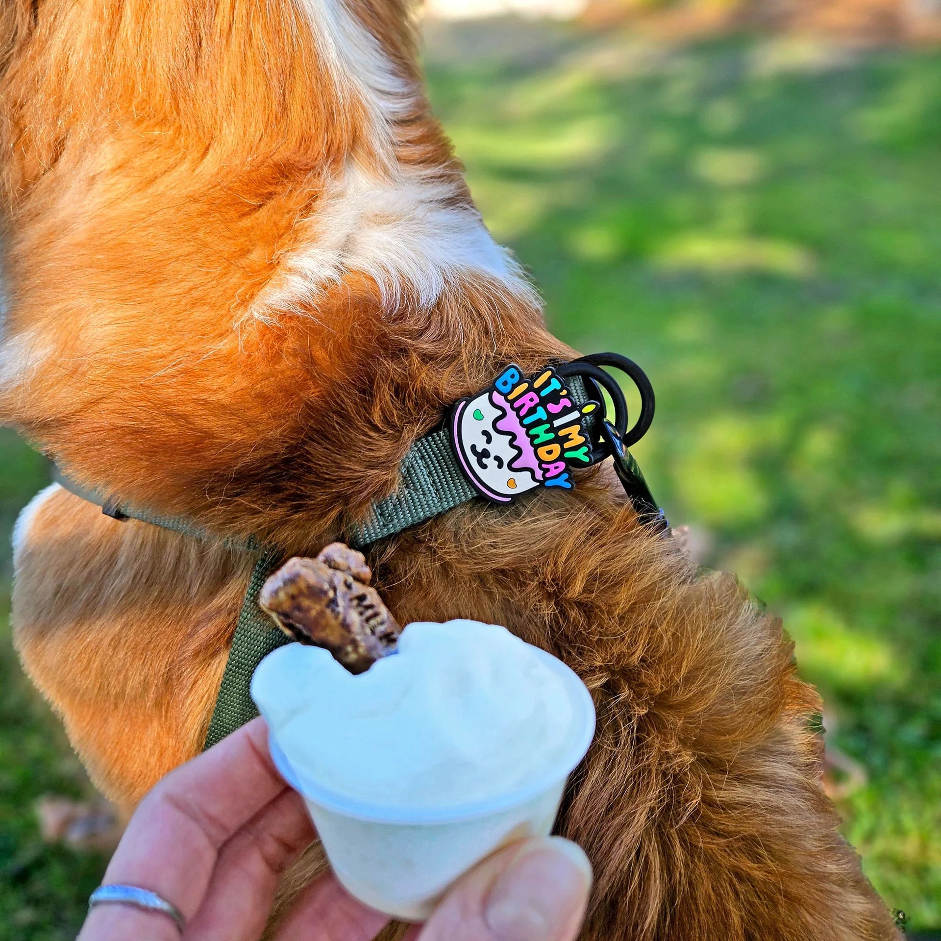 Birthday Jiby Dog Charm