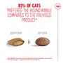 Royal Canin Ageing 11+ Senior Cat 2kg