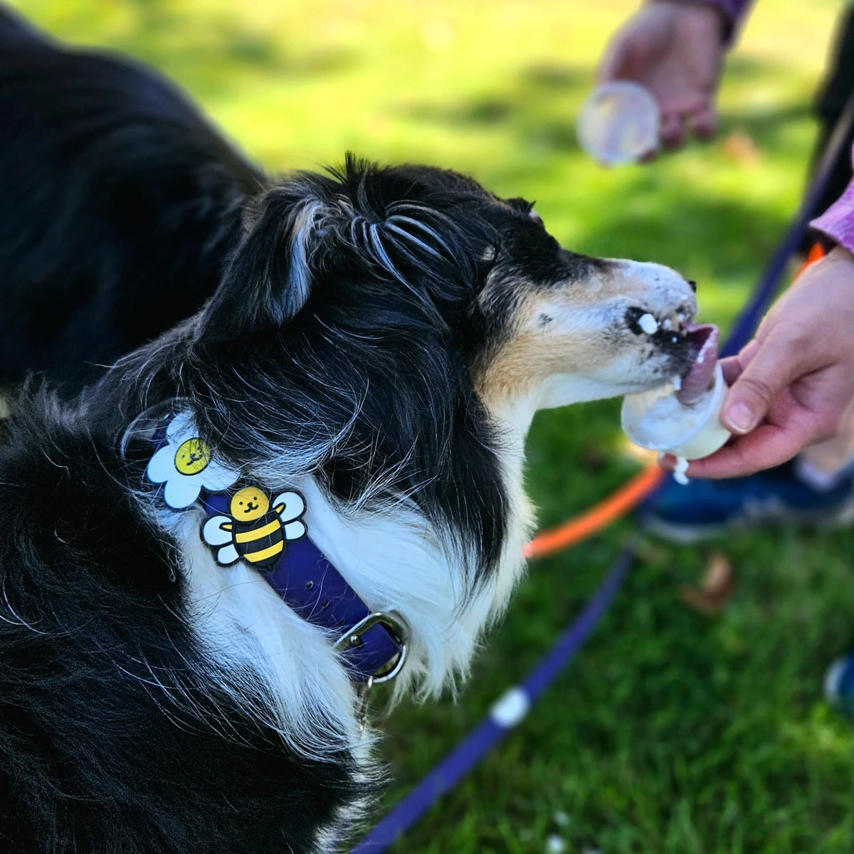 Bumblebee Jiby Dog Charm