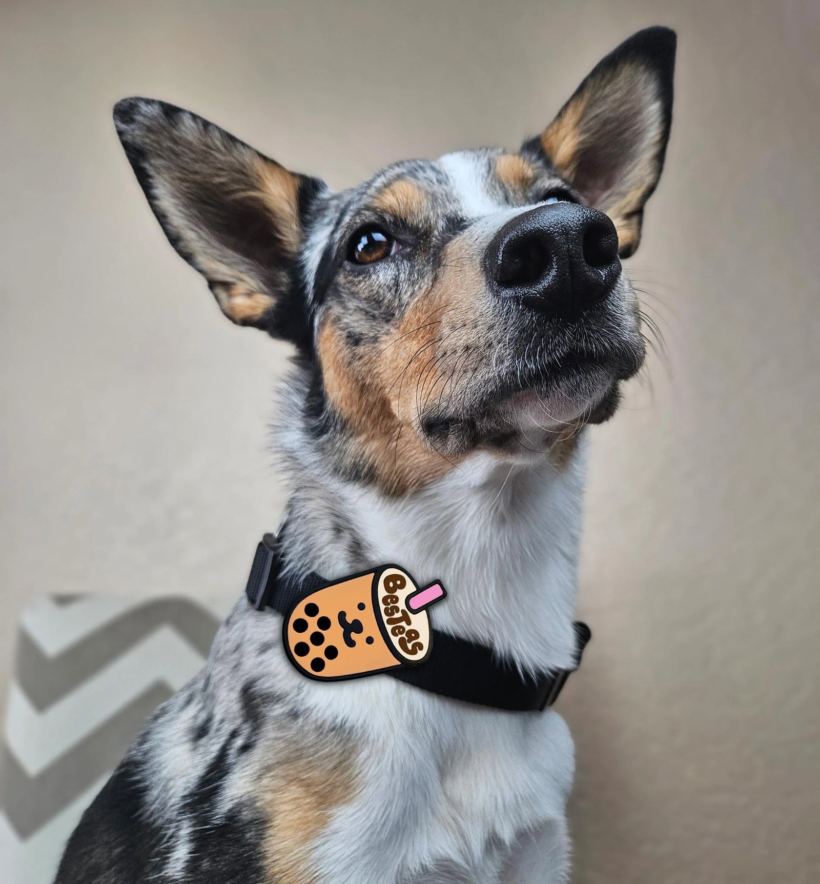 Boba Jiby Dog Charm