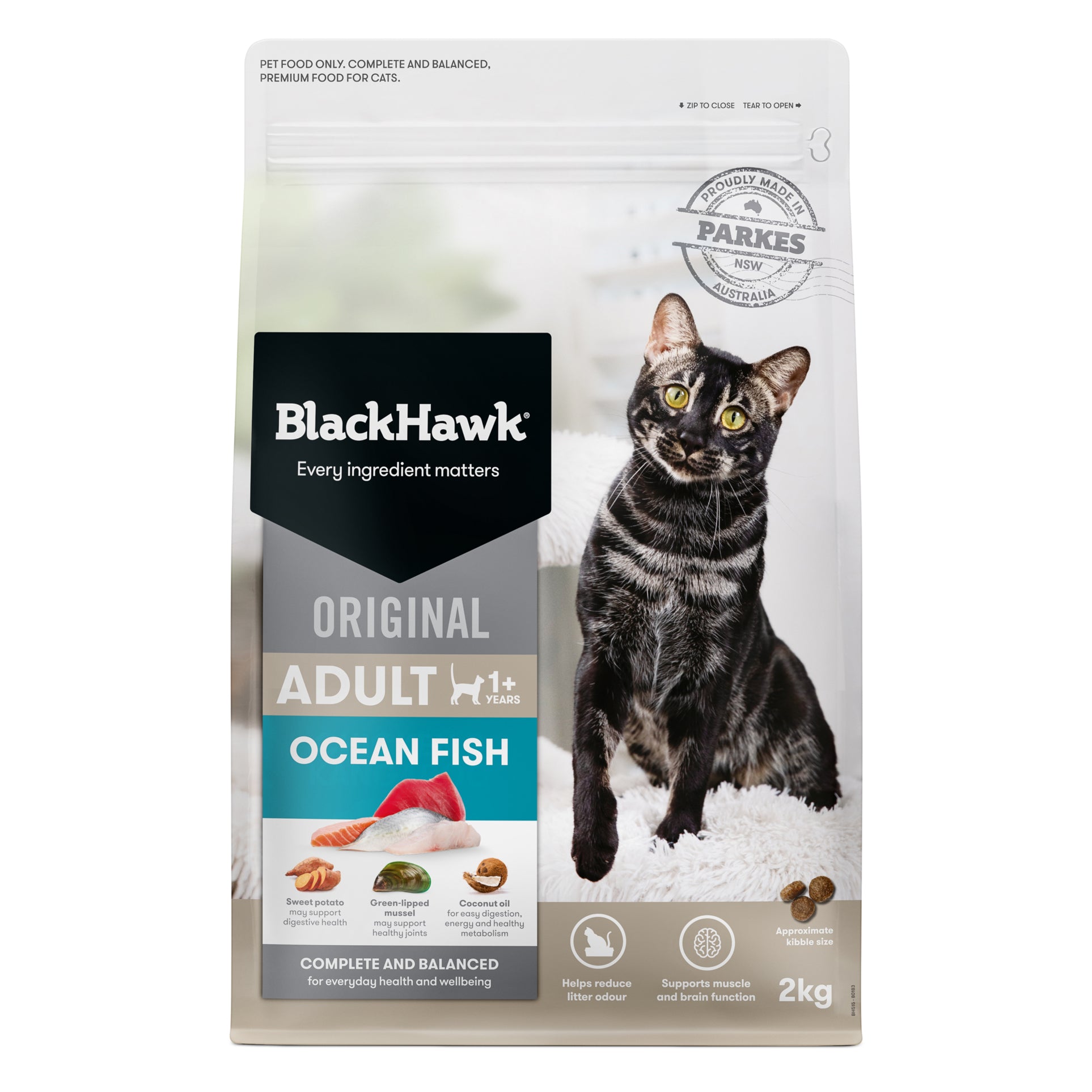 Black Hawk Adult Cat Ocean Fish