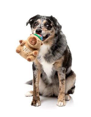 FuzzYard Dog Toy - Capy-bara