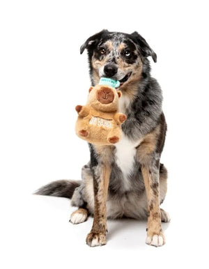 FuzzYard Dog Toy - Capy-ccino