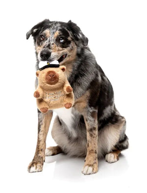 FuzzYard Dog Toy - Capy-tain