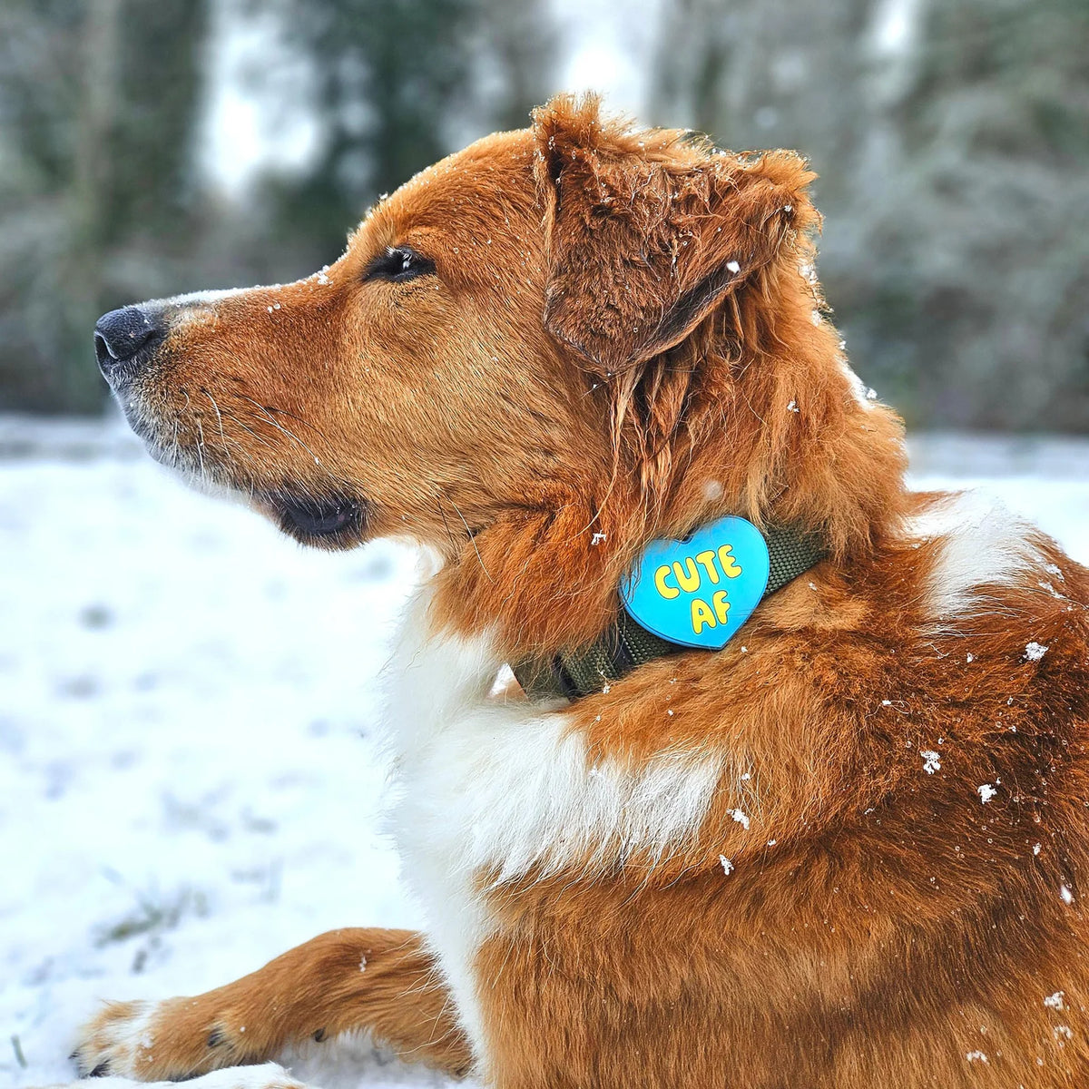 Cute AF Jiby Dog Charm
