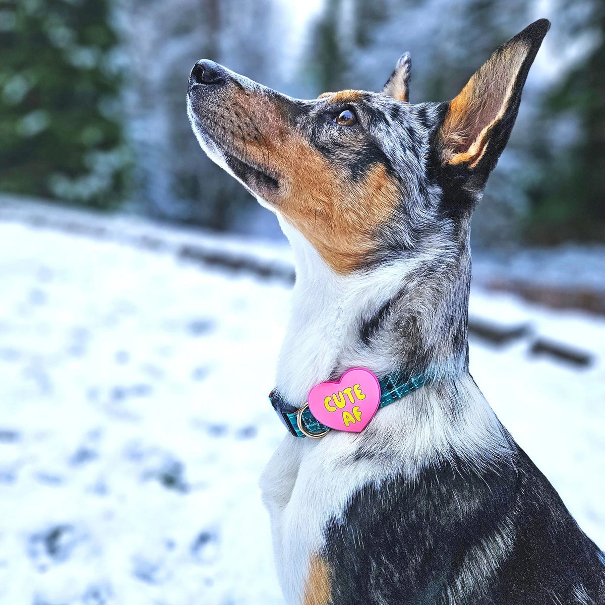 Cute AF Jiby Dog Charm