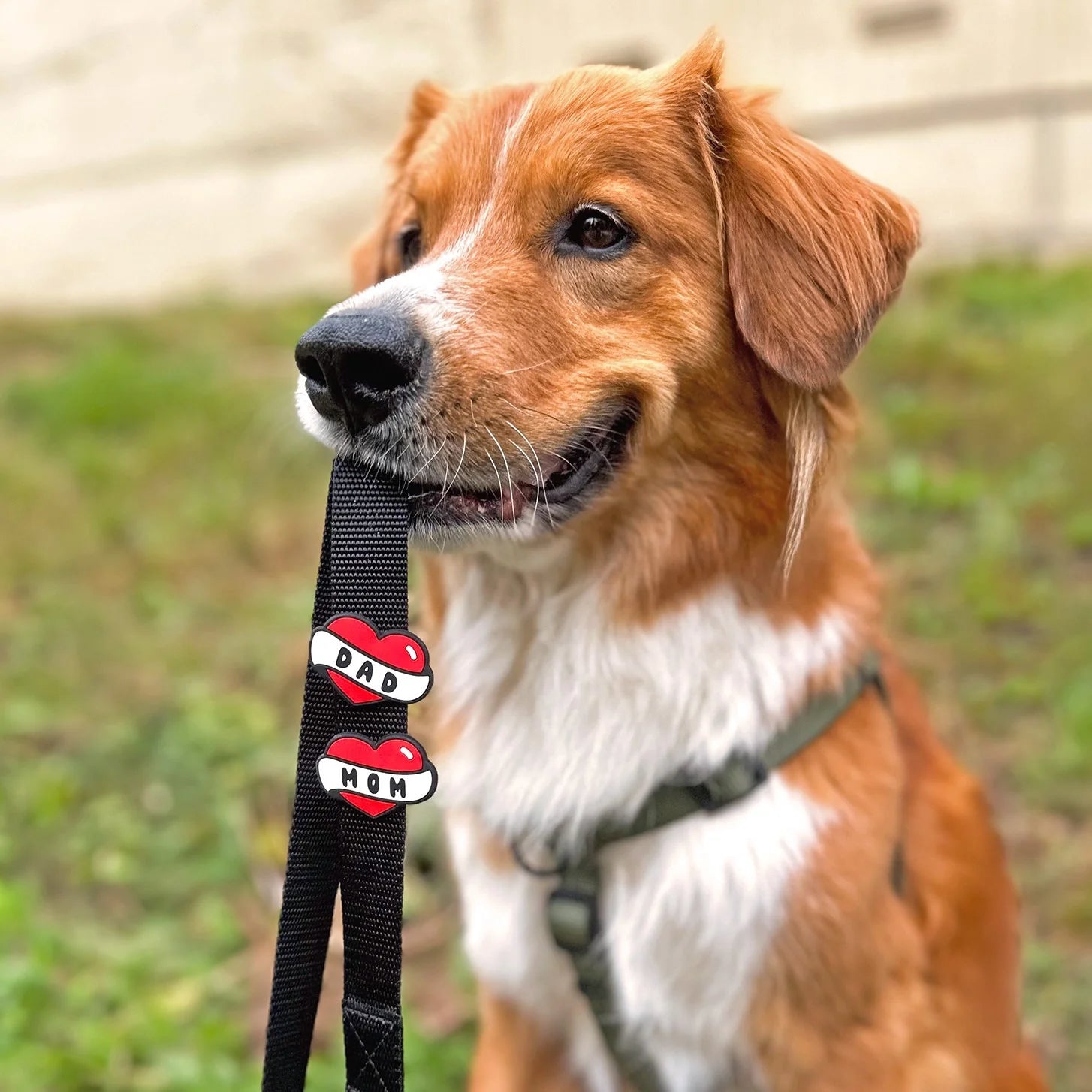 Dad Tattoo Jiby Dog Charm