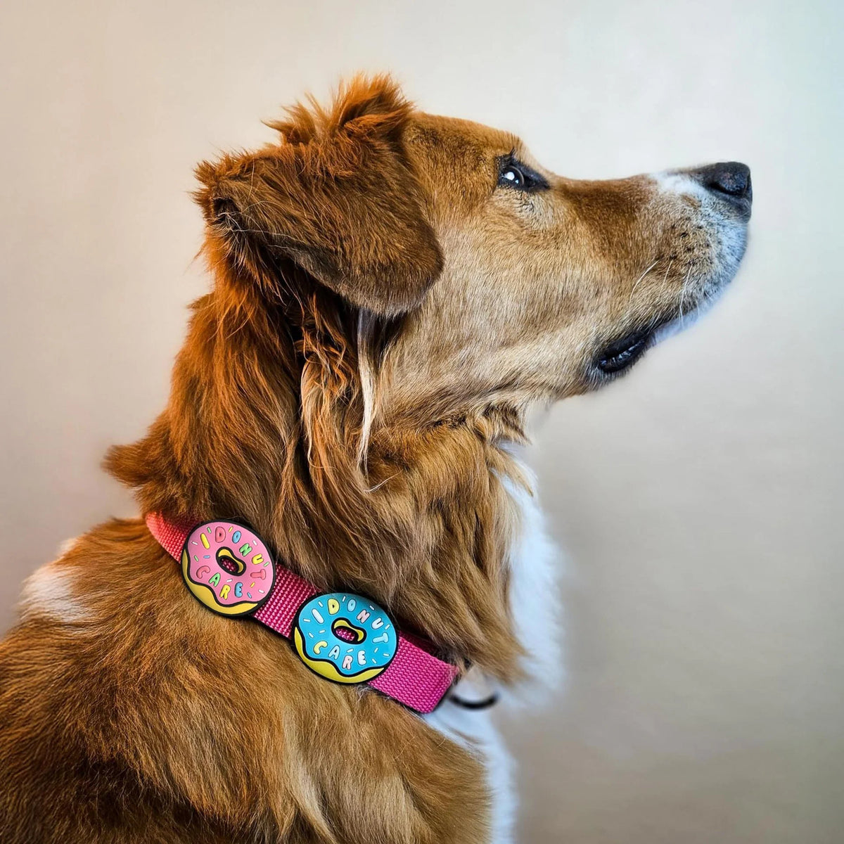 I Donut Care Jiby Dog Charm