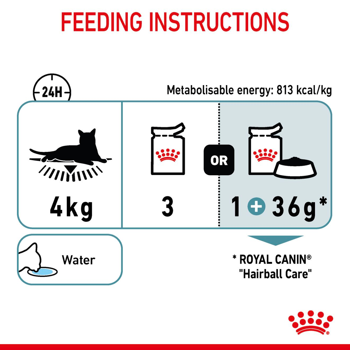 Royal Canin Feline Hairball Care Jelly Pouches Box