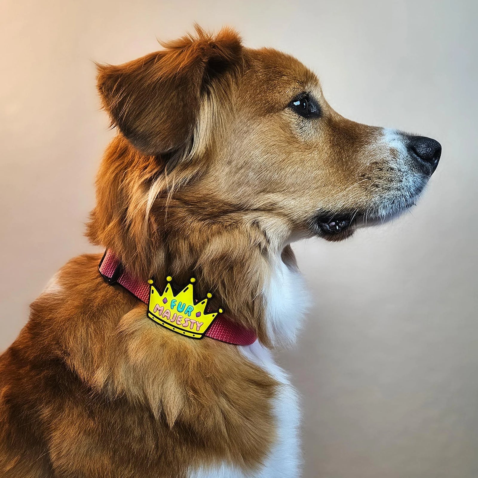 Fur Majesty Jiby Dog Charm