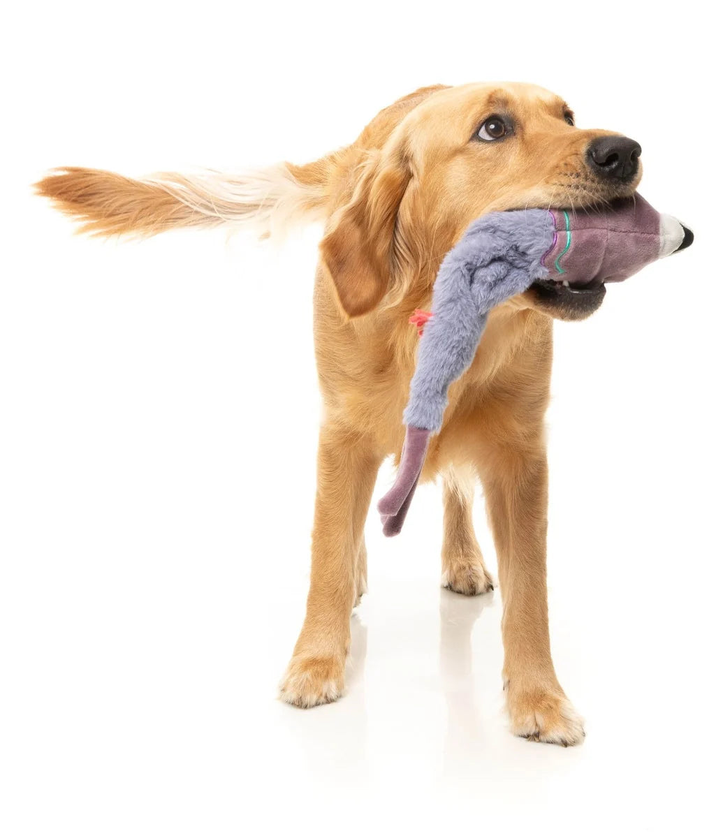 FuzzYard Dog Toy - Peace-out Pigeon