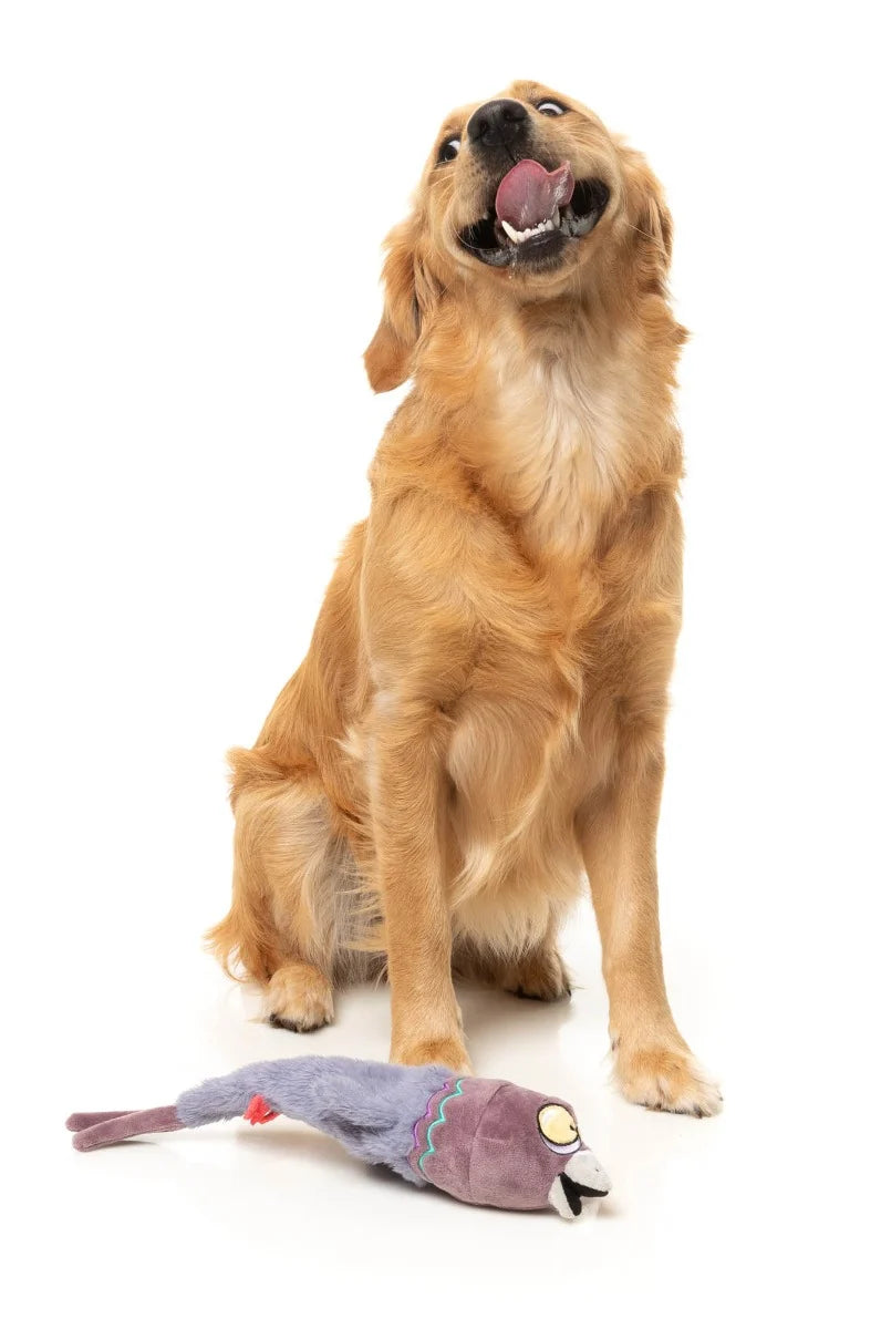 FuzzYard Dog Toy - Peace-out Pigeon
