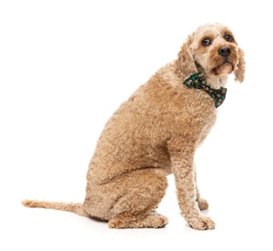 FuzzYard Christmas Bowtie - Jolly Gingerbread & Canes
